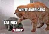 LATINOS imgflip.com WHITE AMERICANS "LATINX"