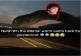 Nahhhhh the eternal worm came back for connecticut
