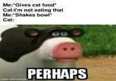 Me:*Gives cat food* Cat:I'm not eating that Me:*Shakes bowl* Cat: PERHAPS made with mematic