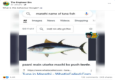 The Engineer Bro 22 January What is this behaviour Google? 4.4K All । marathi name of tuna fish Images News Videos हिंदी में खोजें Q मराठी नाम ऑफ़ टूना फिश Shopping M paani main utarke machi ko puch tavde. ? https://www.whatiscalled.com › tuna... Tuna in Marathi - WhatIsCalled.Com THE ENGINEER BRO ⠀ 132 comments 243 shares