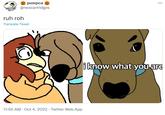 Scooby Doo Knows That Velma Is Gay "I Know Who You Are" pumpca @nescartridges ruh roh Translate Tweet 11:55 AM - Oct 4, 2022. Twitter Web App ⠀ i know what you are