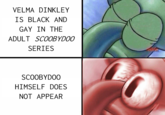 VELMA DINKLEY IS BLACK AND GAY IN THE ADULT SCOOBYDOO SERIES SCOOBYDOO HIMSELF DOES NOT APPEAR
