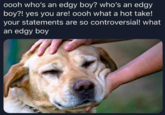 oooh who's an edgy boy? who's an edgy boy?! yes you are! oooh what a hot take! your statements are so controversial! what an edgy boy