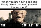 When you are having sex and finally climax, what do you call that moment? THE TIME OF THE ORCHAS M