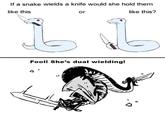 If a snake wields a knife would she hold them like this like this? or Fool! She's dual wielding!