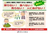 食用と確実に判断できない植物は、 採らない ! 食べない! 売らない! 『ニラ』に似た植物 が生えているわ? 食べられる のかしら? OO よくわからないも のは、食べてはい けないよ! 絶対に 人にあげない! 家庭菜園や畑などで、野菜と観賞 植物を一緒に栽培するのはやめま しょう。 有毒植物が山菜に混じっているこ とがあります。 食用と確実に判断 できない植物を食べるのはやめま しょう。 v食用の植物だと思っても､ 植えた 覚えのない植物を食べるのはやめ ましょう。 野草を食べて体調が悪くなったら、すぐに医師の診察を! 厚生労働省
