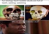 fun biology fact!! toddler skulls are full of teeth. waiting. watching CARTIE pisode 1 Why do you have a toddler skull?