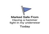 Paul Pelosi Hammer Fight (Meme) Marked Safe From Having a hammer fight in my underwear Today