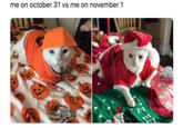 me on october 31 vs me on november 1