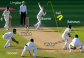 Umpire Fielders Wicket Bowler Wicket Ball Batsman