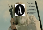 A Can we not have pandemic amnesty?