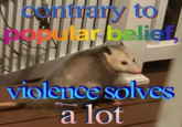 contrary to ar belief, violence solves @69possums 420 a lot