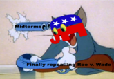 Midterms OCP Finally repealling Roe v. Wade