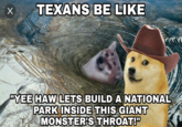 X TEXANS BE LIKE "YEE HAW LETS BUILD A NATIONAL PARK INSIDE THIS GIANT MONSTER'S THROAT!"