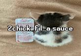 Chick-filste Chick-fil-A Sauce INGREDIENTS: SON UL, 108AR, MUU SAUCE TOMATO PASTE CANN STRUP VEGAR NATURAL HIGHORE SMOKE FLAVOR CARAMEL (COLORI SPICER GARLIC ONION NATURAL FLAVOR ULLORESIN ER MUSTARD SEED LED WEAR Crickpul Chick-fil-A Sauce INGREDIENTE STHREAN OSGAR BRD SAUCE TOMES PASTE CORNESTINGAR NATURA SMOS FLACON, CARAMES CORON GAL UNION NATURAL FLAVORS WERSAGEN MUGAARD CATILIFT V.m WATER WISTARD SAY MEN MERA PECESLEY DISTRLED VINEGAL COR YOU CENE VINAR LEMON CONCER BATE MUSTARD DEUM, MATHON DAN MASURA TAZAR GANDO AO RAVE TWO For CAM MEGAT HET WT to ting sauce