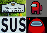 Welcome to West Sussex Welcome to WEST SUSSEX 225 16 SUS !! r