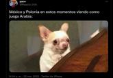 paco @Paquito_009 México y Polonia en estos momentos viendo como juega Arabia: 9:04 a. m. 22 nov. 2022 Twitter for iPhone .
