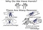 Why Do We Have Hands? There Are Many Reasons: pat ćeruledge cherish ceruledge hold ceruledge forfeit all mortal possessions to ceruledge