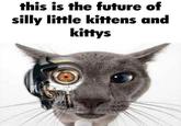 this is the future of silly little kittens and kittys