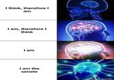 I think, therefore I am I am, therefore I think I am I am the senate made with mematic
