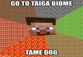 Go to taiga biome, tame dog imgflip.com GO TO TAIGA BIOME TAME DOG
