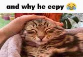 and why he eepy (0)