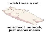 i wish i was a cat, kid no school, no work, just meow meow
