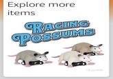 Explore more items RACING POSSUMS