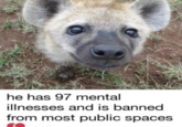 he has 97 mental illnesses and is banned from most public spaces