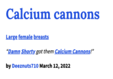 Calcium cannons Large female breasts "Damn Shorty got them Calcium Cannons!" by Deeznuts710 March 12, 2022