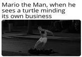 Mario the Man, when he sees a turtle minding its own business
