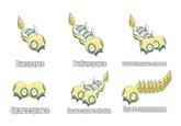 Dunsparce Dudunsparce Dududunsparcesparce food Sparcesparce Sparcesparcedudun Sparcennnnnnnnn