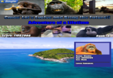 Mission: You have to help a orangutan start evolution and bring the future.