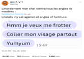 WINY ^^ ? @winog Littéralement mon chat contre tous les angles de meubles : Translated from French by Google Literally my cat against all angles of furniture: Hmm je veux me frotter Coller mon visage partout Yumyum 13:49 10:40 AM Dec 26, 2022 134.9K Views 572 Retweets 9 Quote Tweets 5,688 Likes : ...