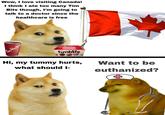 Based Canada? | /r/dankmemes Wow, I love visiting Canada! I think I ate too many Tim Bits though, I'm going to talk to a doctor since the healthcare is free Tim Hortons Tim Hortons timbits Hi, my tummy hurts, what should I- Want to be euthanized?