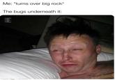 Me: *turns over big rock* The bugs underneath it: Е @EXPLORIZE made with mematic