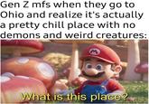 Gen Z mfs when they go to Ohio and realize it's actually a pretty chill place with no demons and weird creatures: What is this place?