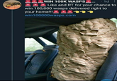 ***WIN 100K WASPS ·ld: *** Like and RT for your chance to win 100,000 wasps delivered right to your home!!! *** win100000wasps.com