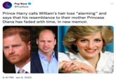 Pop Base @PopBase Prince Harry calls William's hair loss "alarming" and says that his resemblance to their mother Princess Diana has faded with time, in new memoir. 5:47 PM. Jan 5, 2023 ***