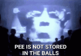 Loere PEE IS NOT STORED IN THE BALLS