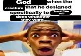 God when the creature that he designed have free will specifically to does whatever they want