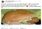Champagne Sloshy @JoshyBeSloshy Ill never switch up on you Mcchicken. 100 I remember when i was down bad and all i had was 1.07 in my pocket & you were always there !! F--- POPEYES 11:37 AM. Aug 22, 2019 : 28.7K Retweets 3,672 Quote Tweets 108.8K Likes