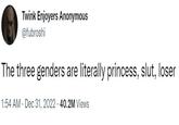 Twink Enjoyers Anonymous @fubroshi The three genders are literally princess, slut, loser 1:54 AM Dec 31, 2022 40.2M Views
