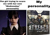 The girl trying to scare me with her new "Wednesday" personality My personality NIET PROLUGUE STALKER clear sky