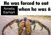 He was forced to eat Amelia when he was 6 Earhart