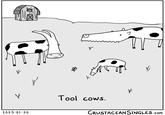 V 2023-01-20 X k Tool cows. I V CRUSTACEANSINGLES.com