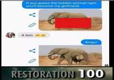 If you guess the hidden animal right, you'll become my girlfriend. A lion. Bingo! RESTORATION 100