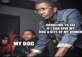 ti MY DOG P P GOOGLING TO SEE IF I CAN GIVE MY DOG A BITE OF MY DINNER