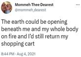 The earth could be opening beneath me and my whole body on fire and I’d still return my shopping cart Mommeh Thee Dearest @mommeh_dearest The earth could be opening beneath me and my whole body on fire and I'd still return my shopping cart 8:44 PM. Aug 4, 2021