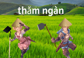thăm ngàn